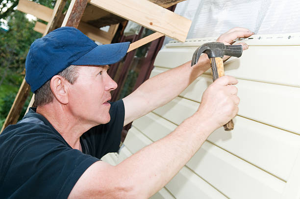 Best Vinyl Siding Installation  in Soldotna, AK