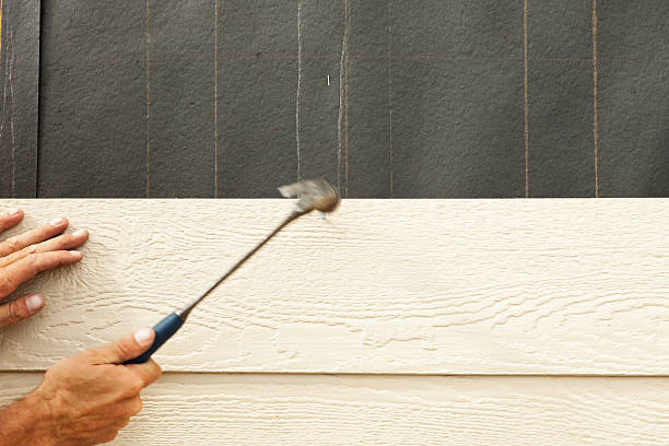 Best Engineered Wood Siding  in Soldotna, AK