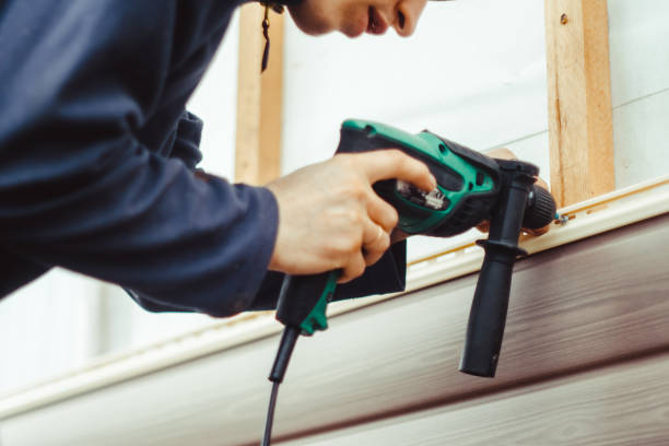 Best Stone Veneer Siding  in Soldotna, AK